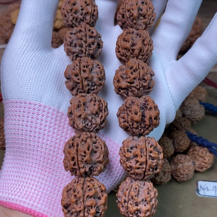 Y****金刚菩提手串四瓣老籽，高桩