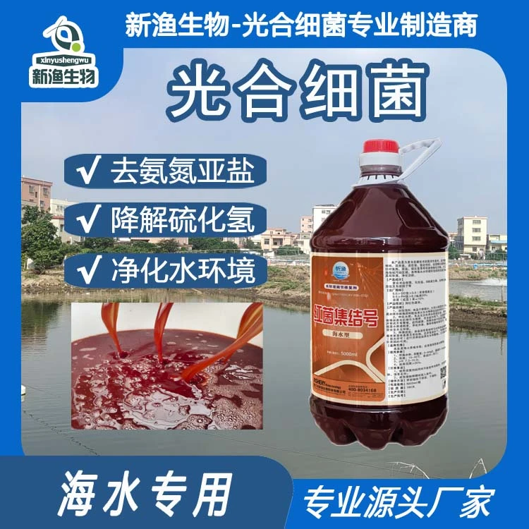 海水适用丨光合细菌丨净化水质天然饵料丨降解氨氮亚盐硫化氢