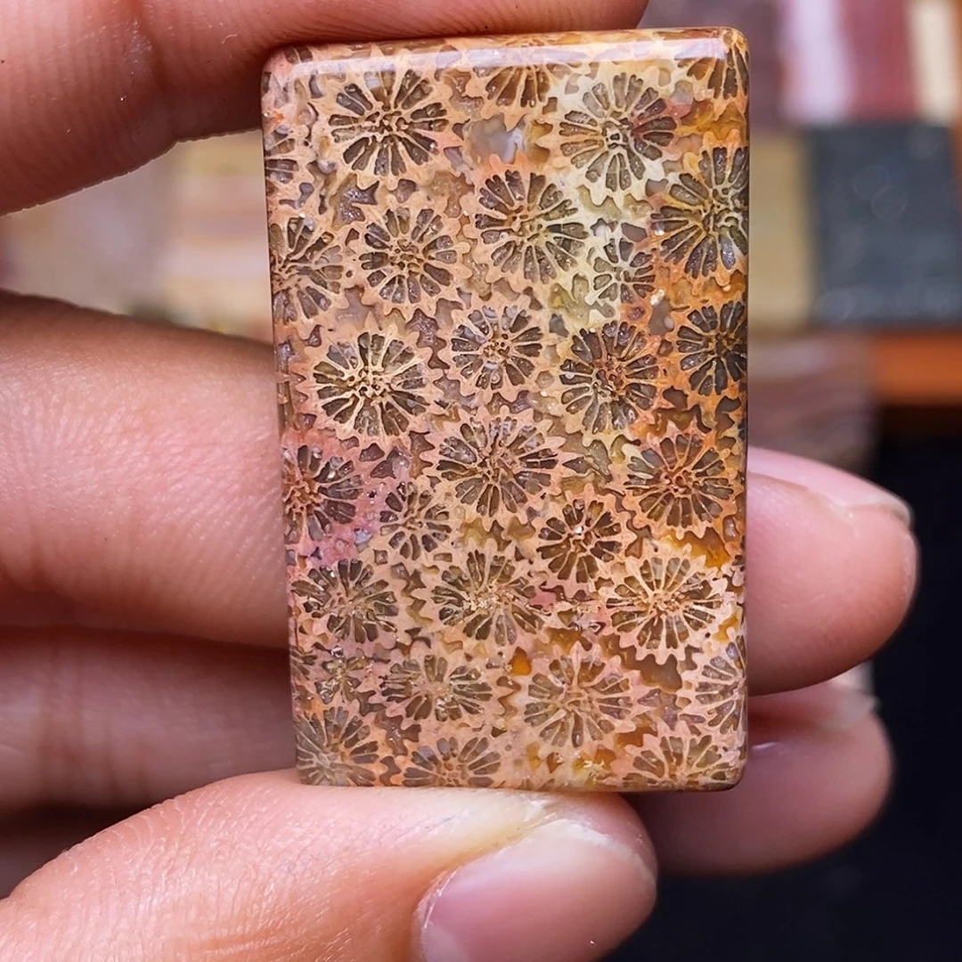 d***o合金珊瑚玉硅化玉