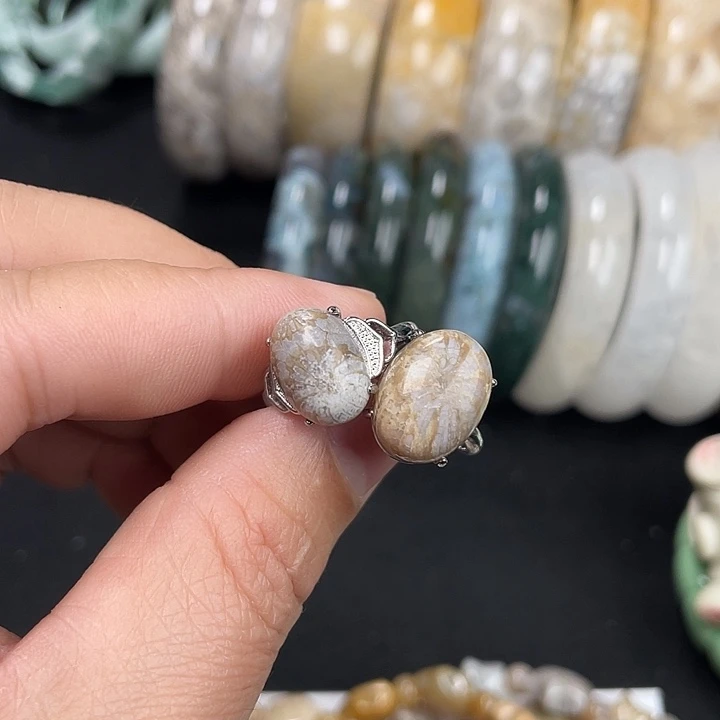 硅化珊瑚（珊瑚玉）未镶嵌吊坠(不含链)