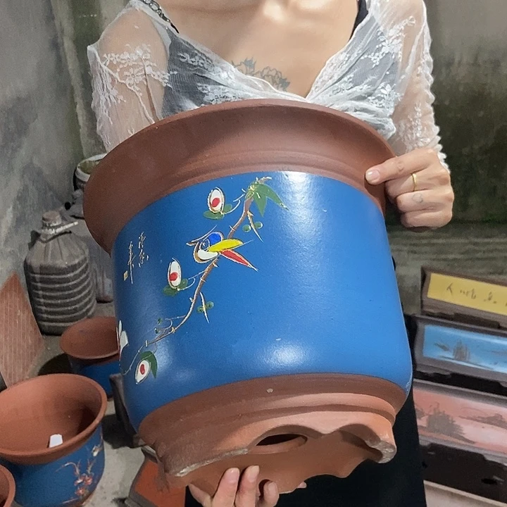 31花盆花盆花盆花盆花盆m