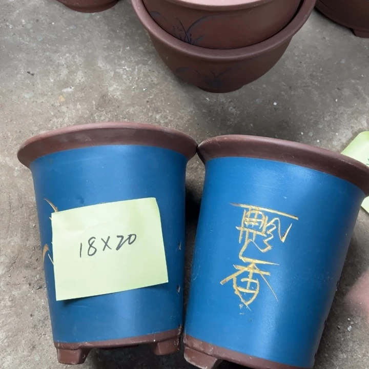 花盆紫砂紫砂花盆紫砂花盆