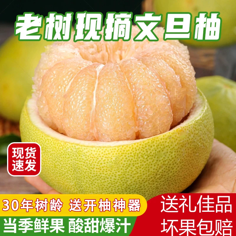 福建度尾红心文旦柚子当季时令特产水果青柚孕妇小孩老树新鲜直发