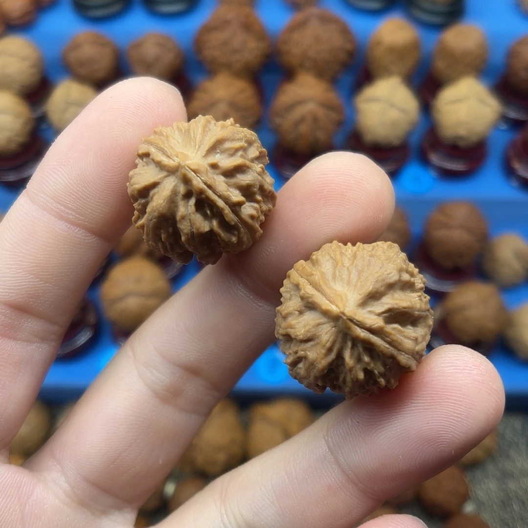 把件文玩核桃龙脊背