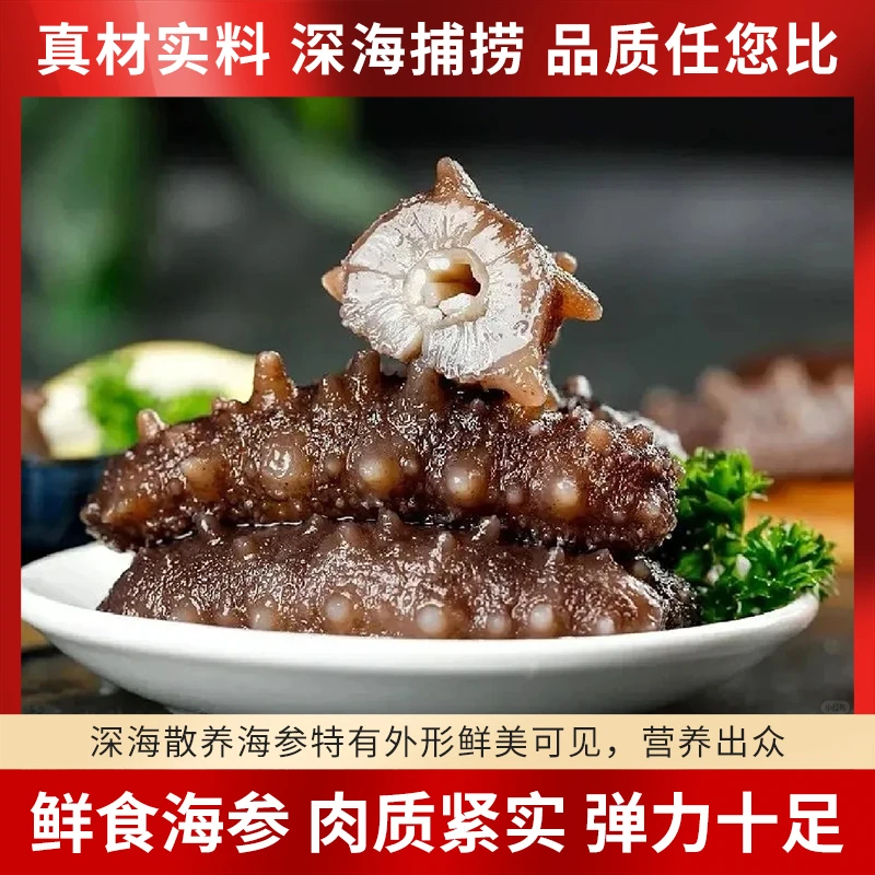 顺丰包邮30只即食鲜食海参正宗大连国标刺参送长辈免煮营养滋补品