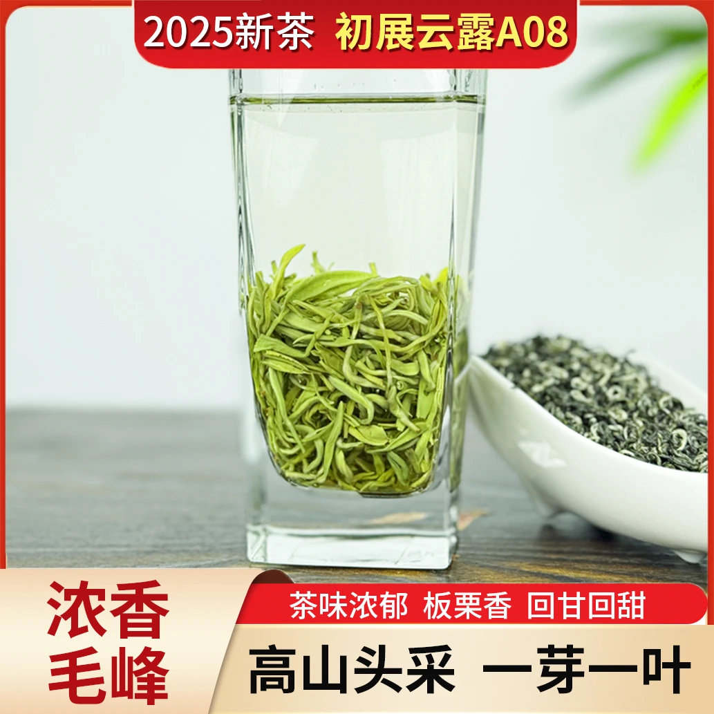 【初展云露A08】2025明前茶 蒙顶山毛峰 含芽率70-80% 栗香散装绿茶