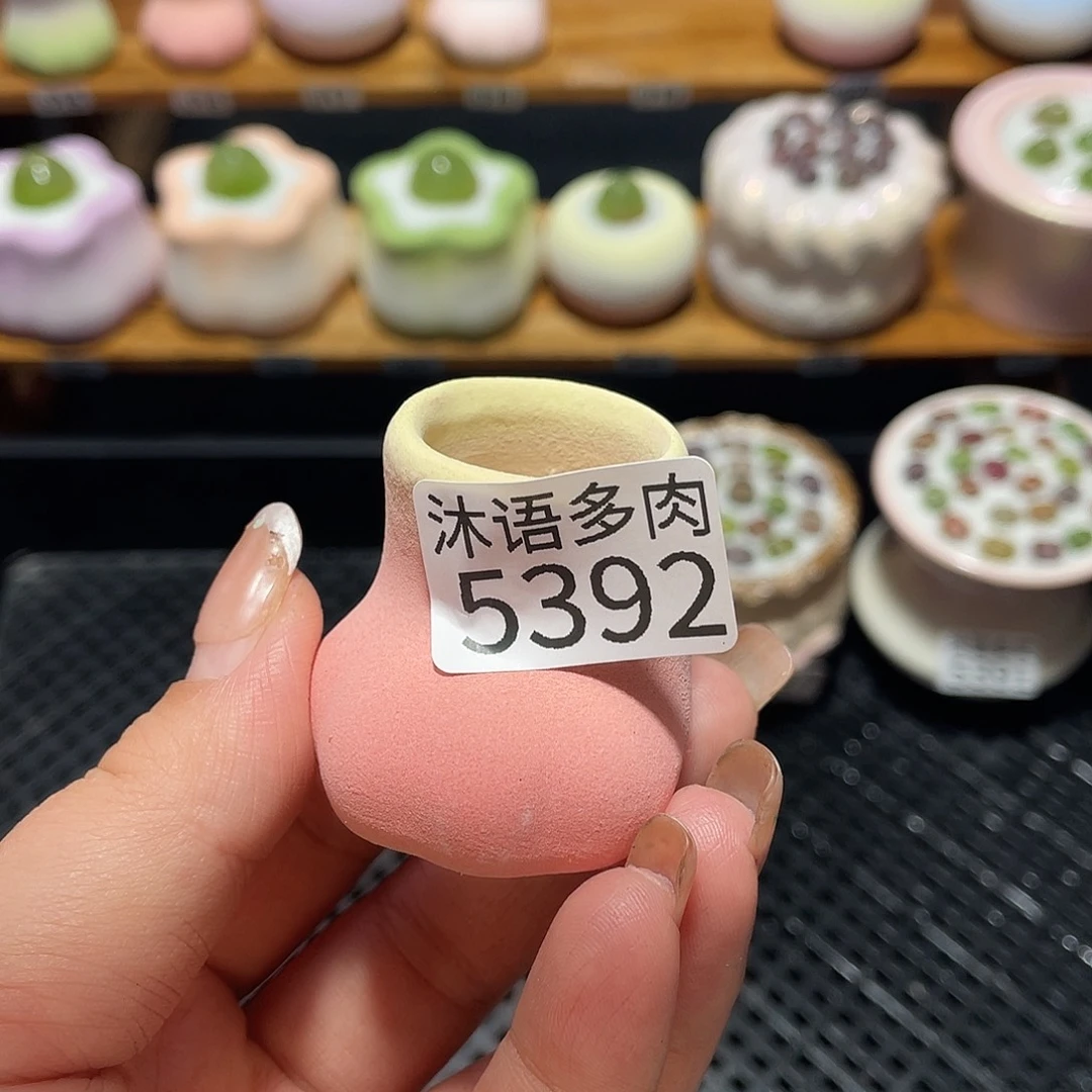 郑***T带盆土植物 一物一拍5392