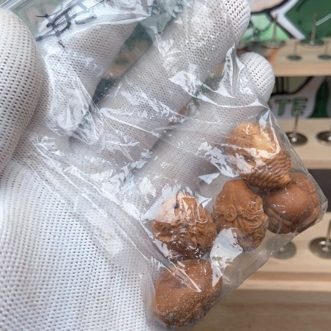 【闪购商品】橄榄核手串/手链纹***子橄榄核文雅