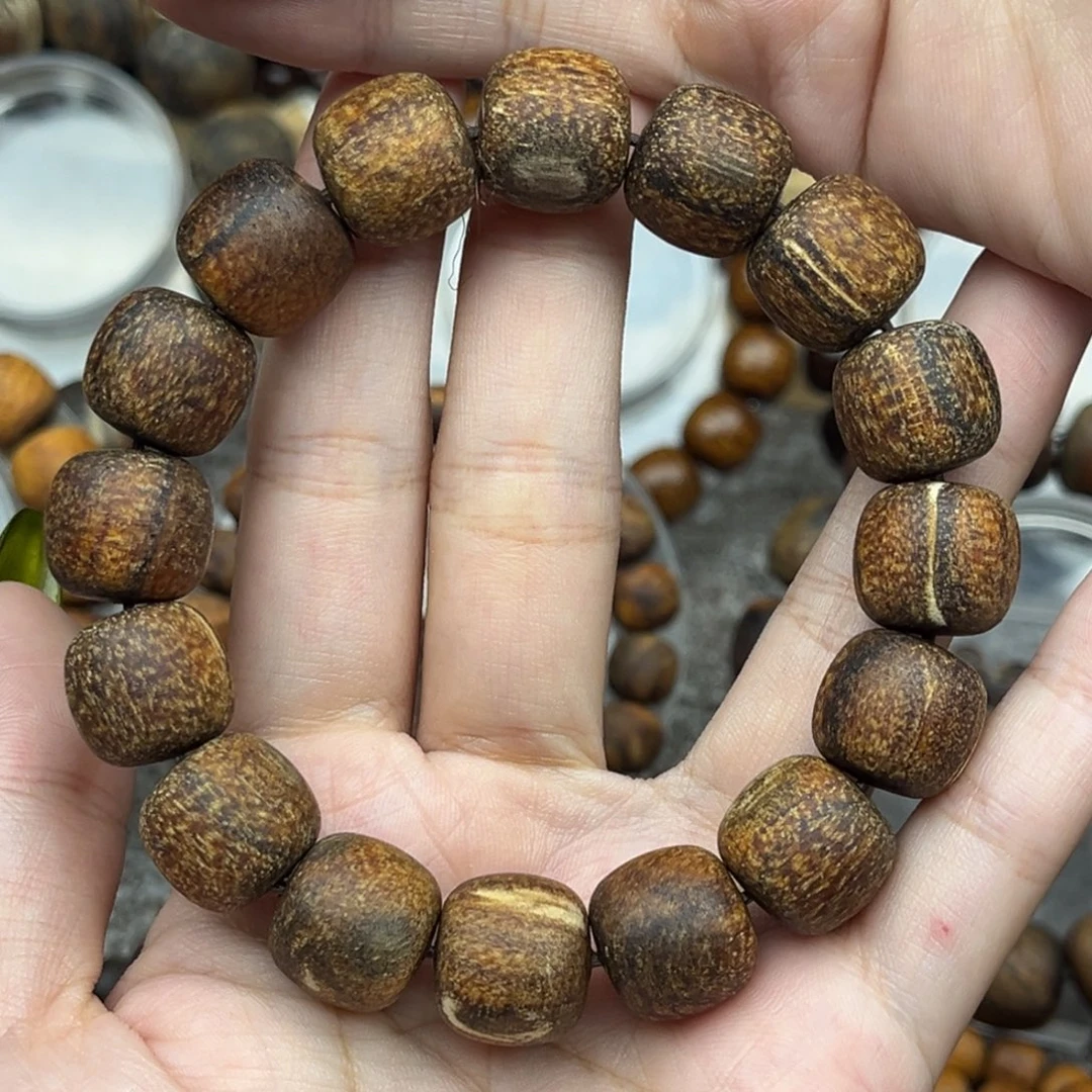 贡木印尼13/14火彩龙妖花