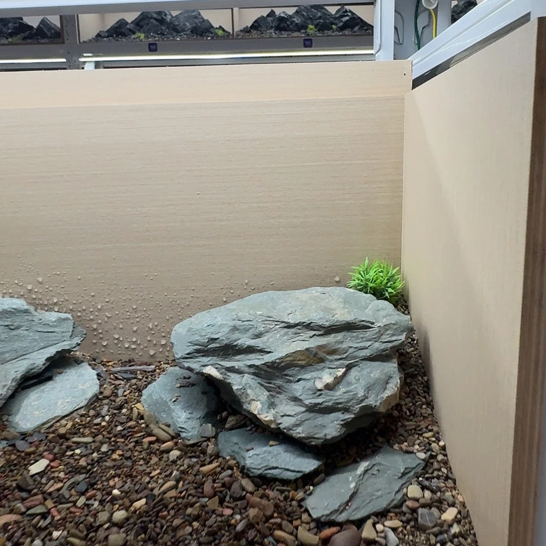 201一半 不含底沙造景