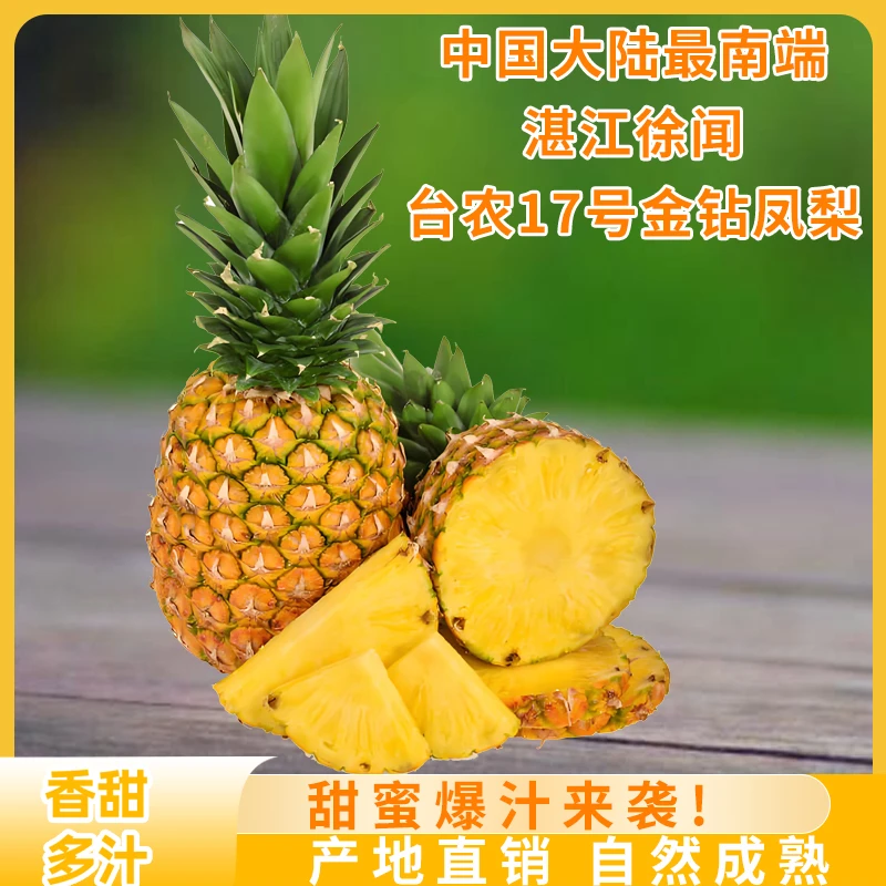 正宗徐闻树上熟台农17号金钻凤梨产地现摘现发带箱18斤【顺丰速运】