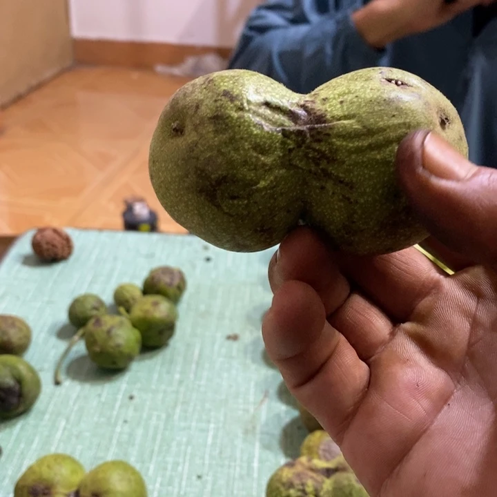 把件文玩核桃無***忆