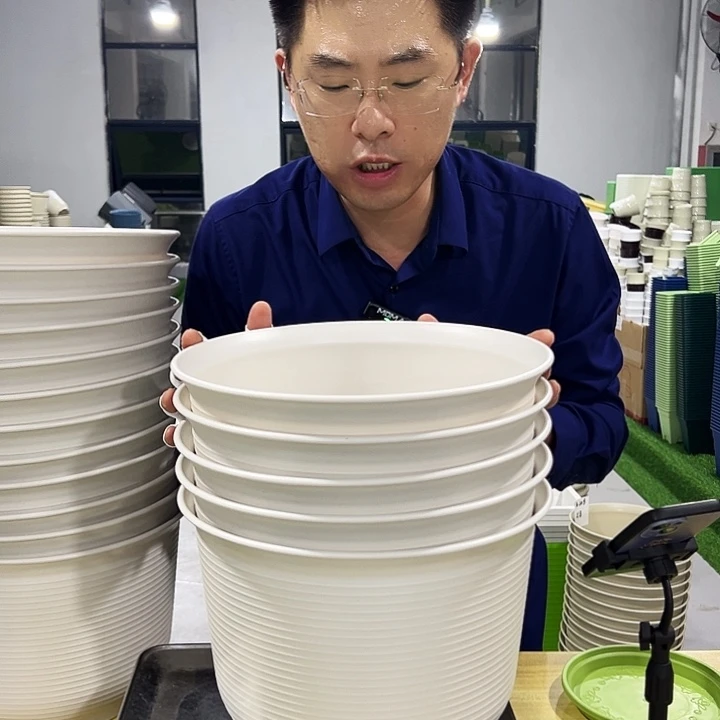 微瑕口30高21白色5只无托