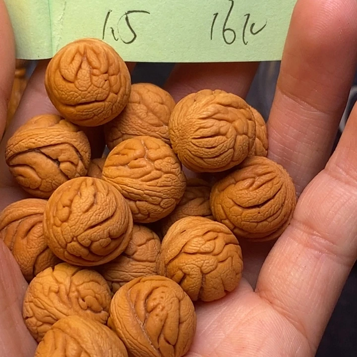 吊坠桃核秦嶺龍紋15尺寸