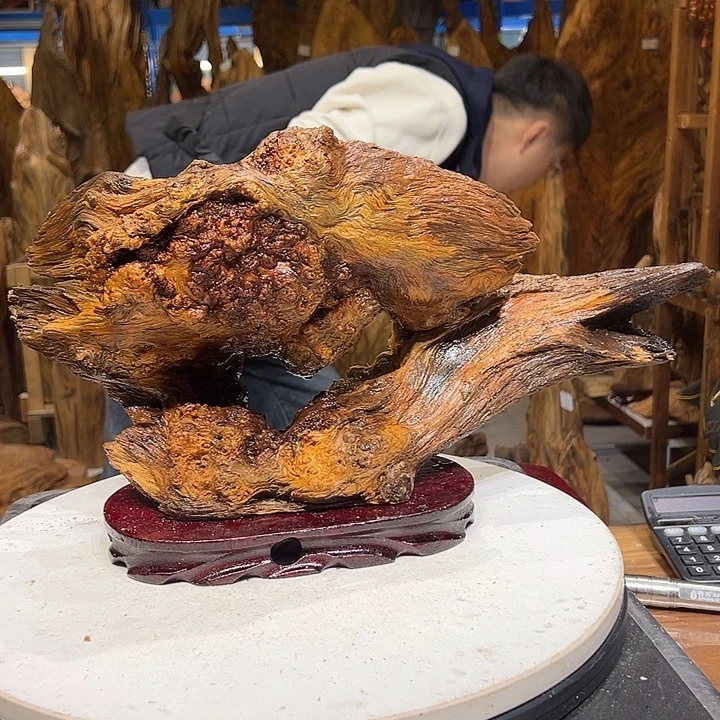 松木（琥珀木）悟****曼