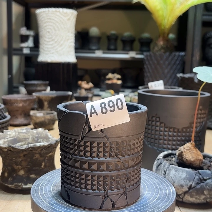 内口9好10.5块根植物盆