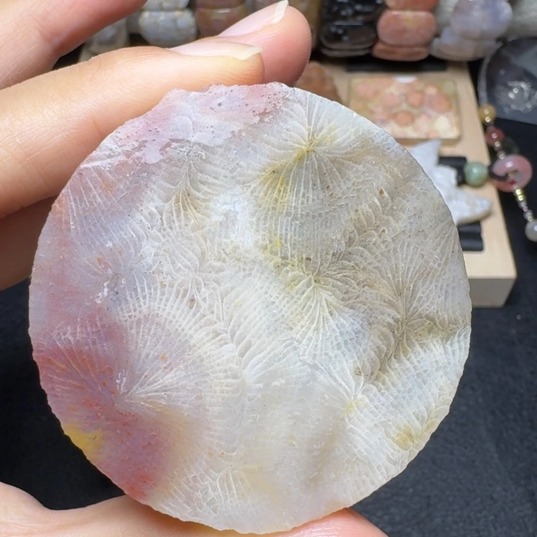未镶嵌玉透彩色大凤尾硅化玉