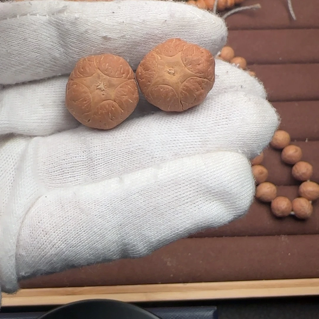 凤眼菩提吊坠，福利五星两颗