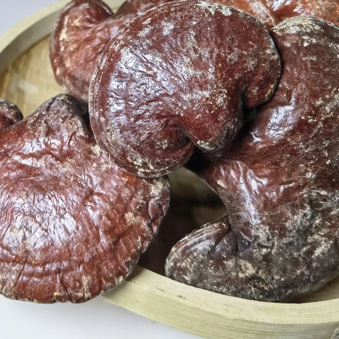 【高山好物现收】   灵芝/鹿茸菇/乌干梅/竹荪