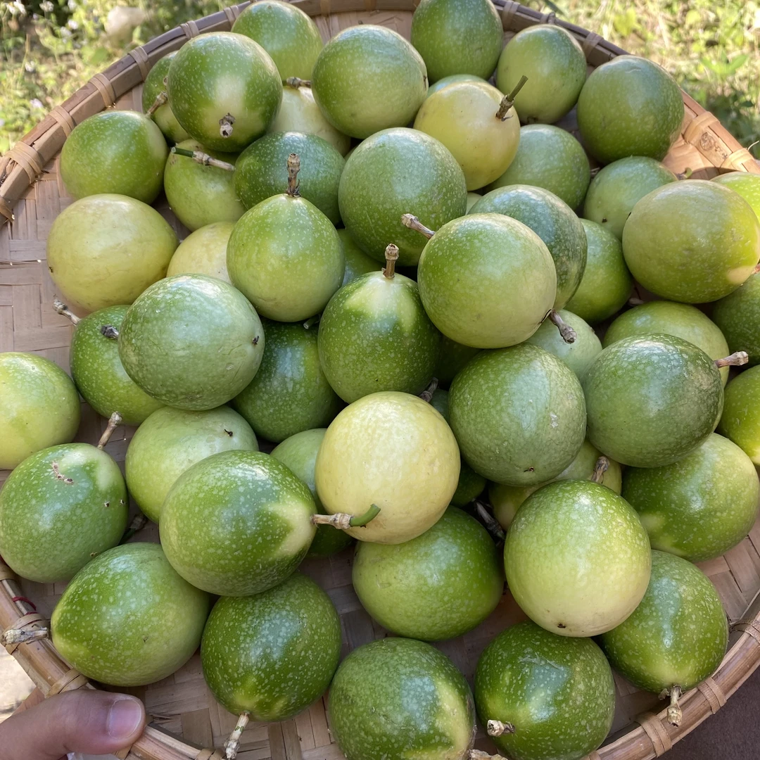 农家新鲜百香果/有大有小  （不支持七天无理由退货）