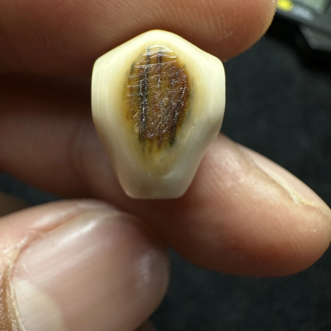 F276猛犸象牙对孔10mm冰料果冻鲨鱼背三通