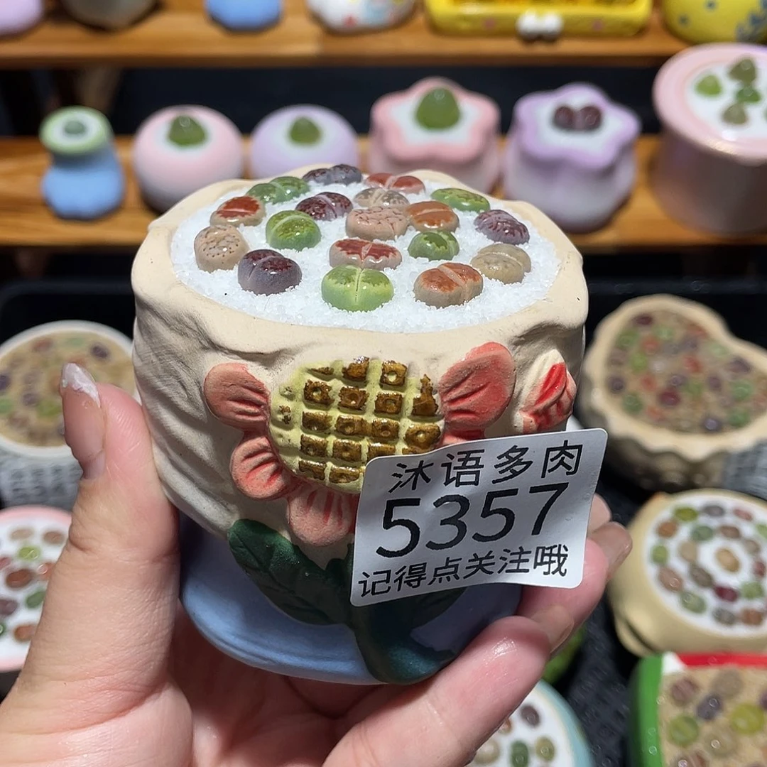 带盆土植物 一物一拍5357