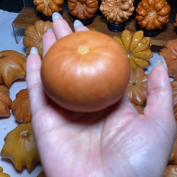厚皮响籽南瓜不退不换