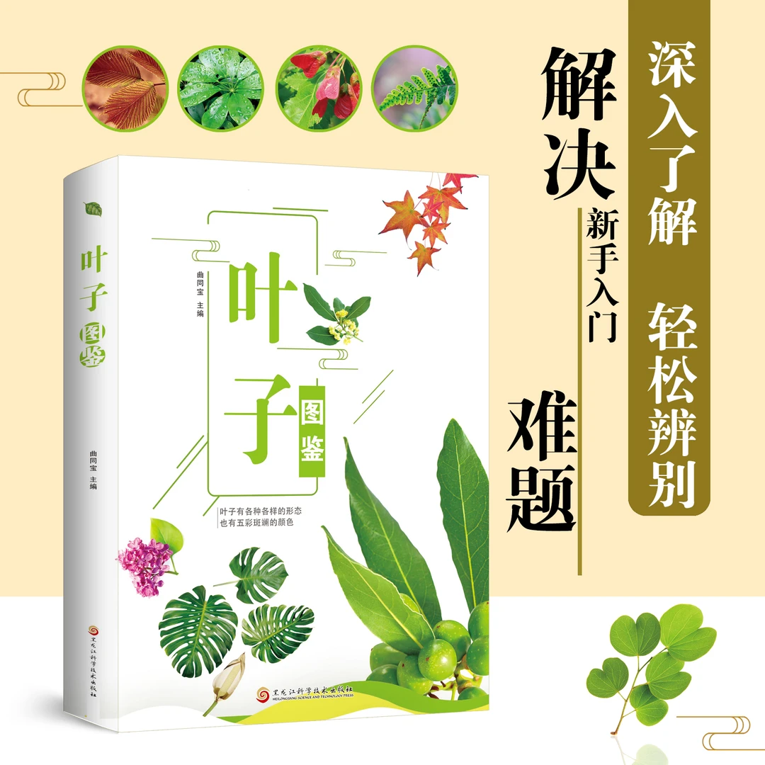 正版叶子图鉴 叶子形态颜色性状特征植物叶子鉴赏分辨常优价好书