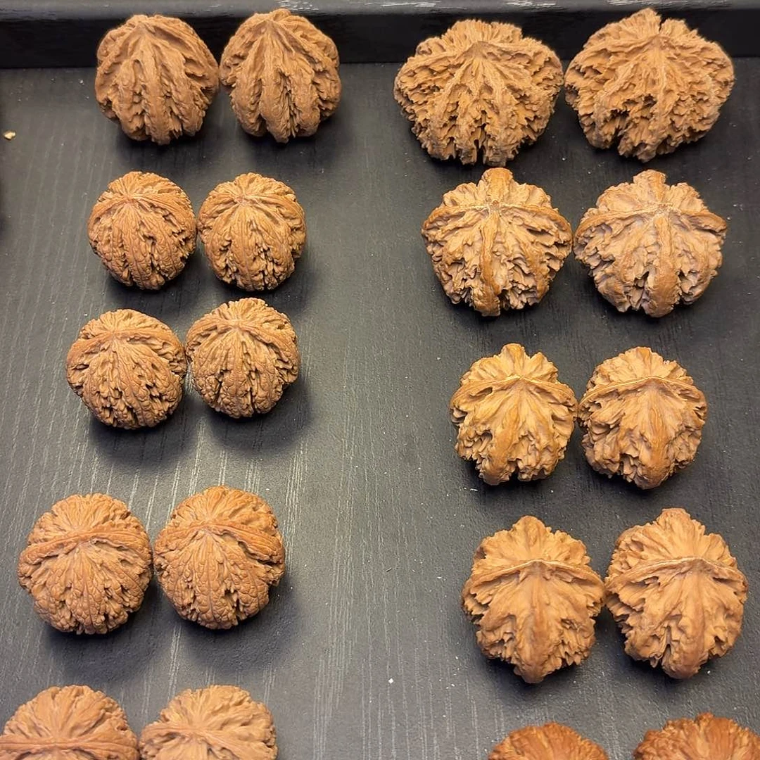 核桃突突突突突突