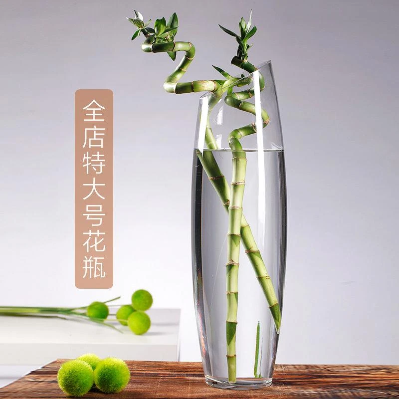 特大号富贵竹花瓶玻璃透明斜口60cm落地大号插花水培银柳水竹花瓶