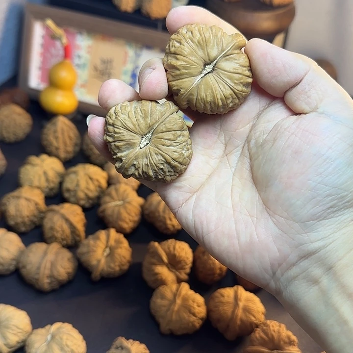文玩核桃把件44边，46肚毕业南瓜