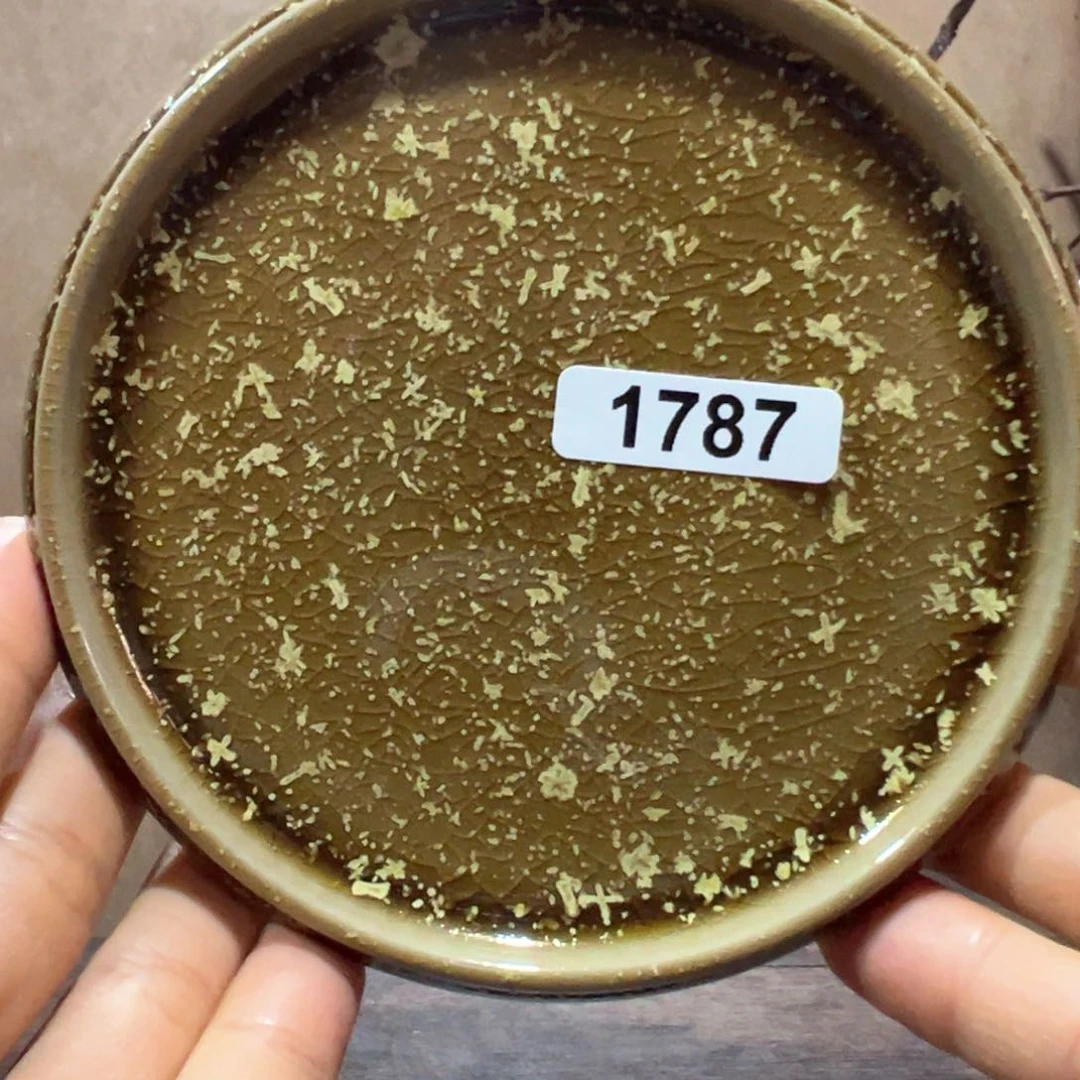 杯1*21787000000000000