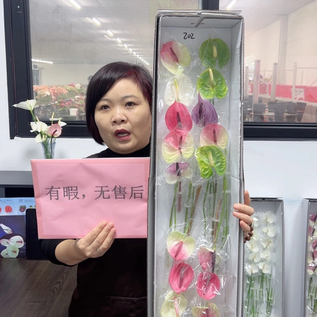 完全开放混色-20枝装无售后款202