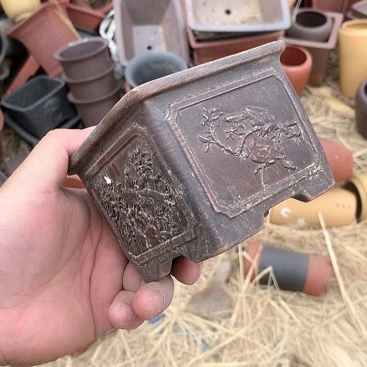 紫砂优秀青年科技人才创新人才