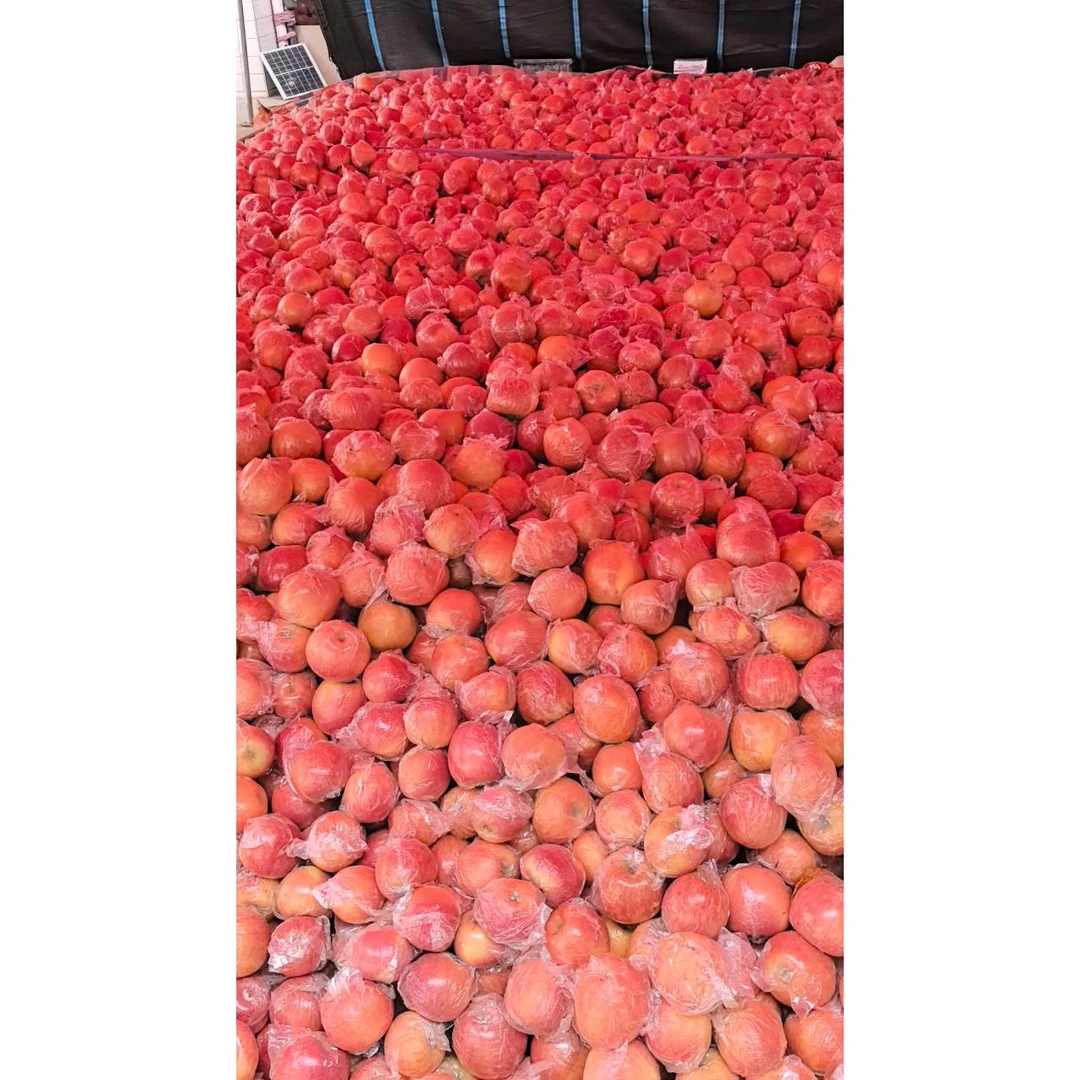 山西运城冰糖心丑苹果新鲜水果脆甜苹果当季应季红富士苹果