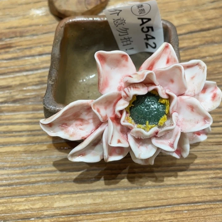 暴****手工制作陶瓷茶具茶杯青蛙