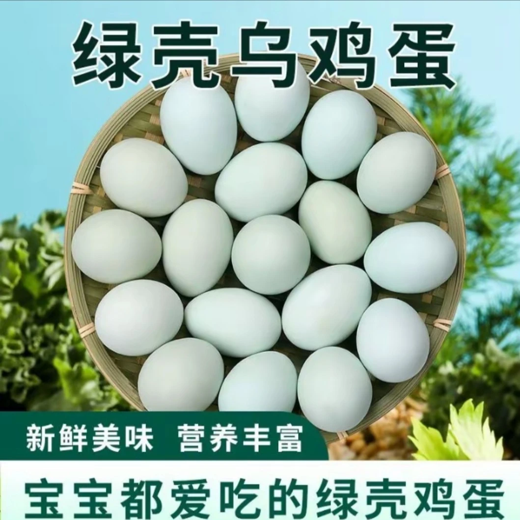 散养新鲜绿壳乌鸡蛋农家土鸡蛋营养美味