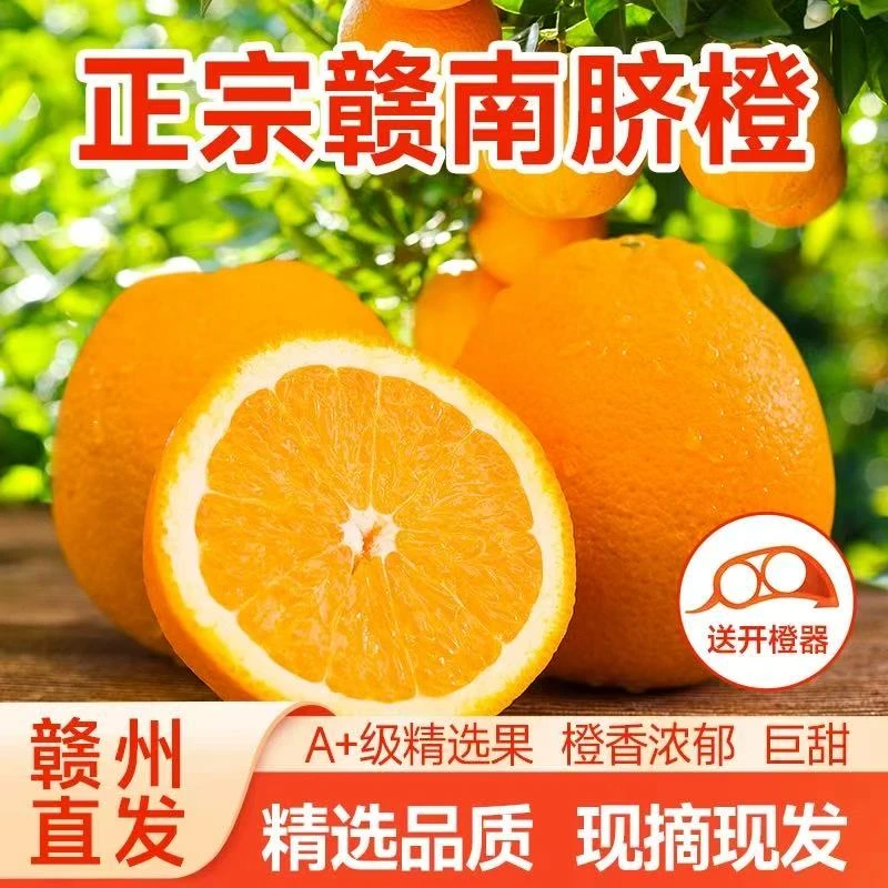 【江西】赣南脐橙3/4.5/9斤当季水果鲜甜橙味浓郁产地直供