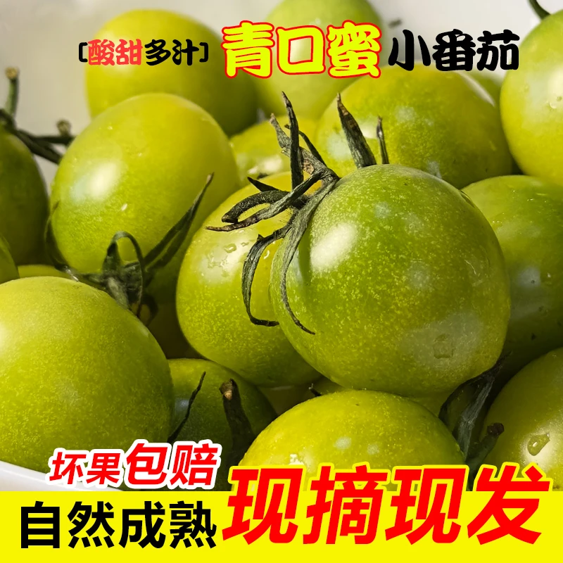 【顺丰包邮】青田小番茄 圣女果  2斤装皮博汁多 糖度高