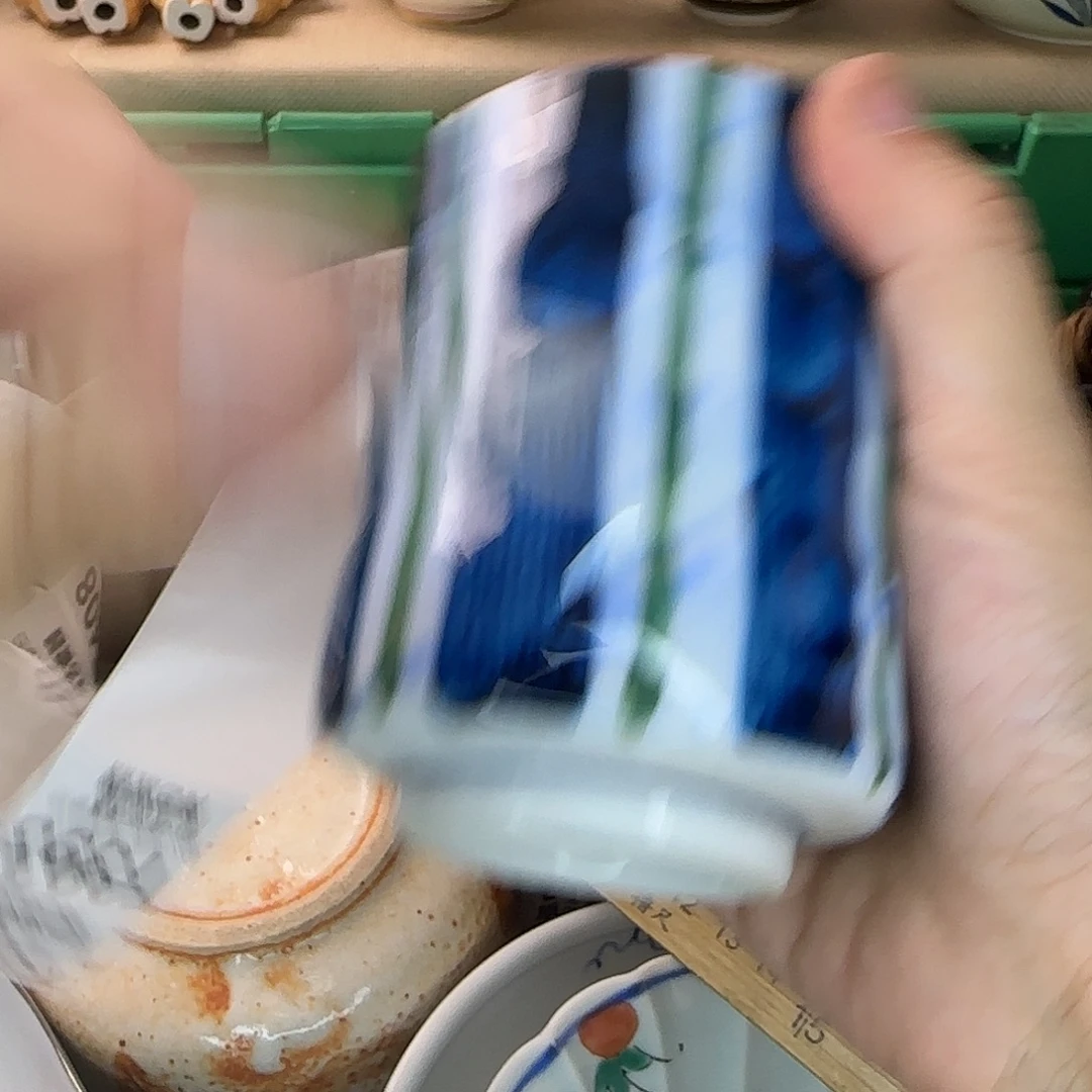 最***虫瓷片392 海外回流日瓷全场满18米包邮
