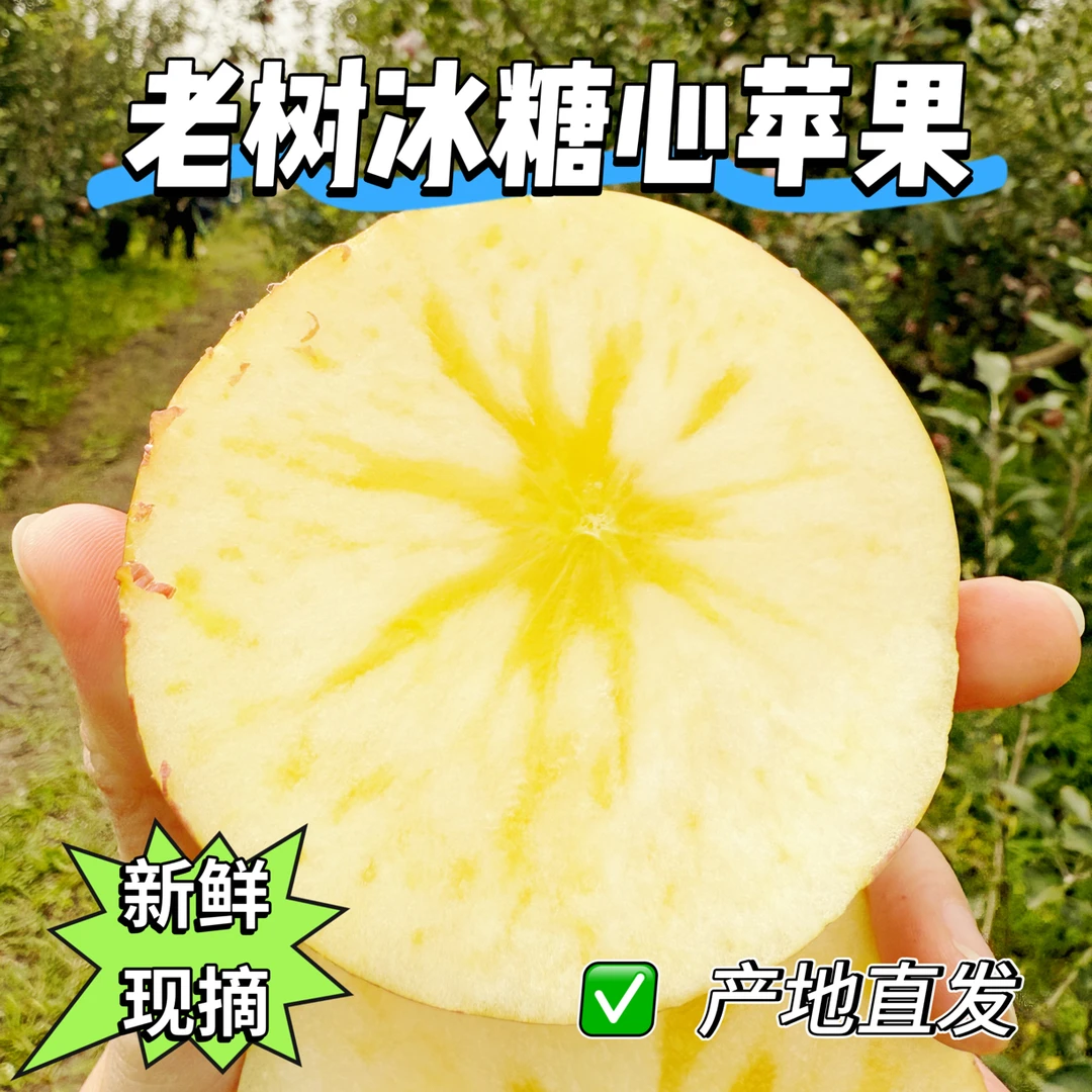 【坏果包赔】老树冰糖心丑苹果新鲜现摘酥脆多汁（大果糖心率高）