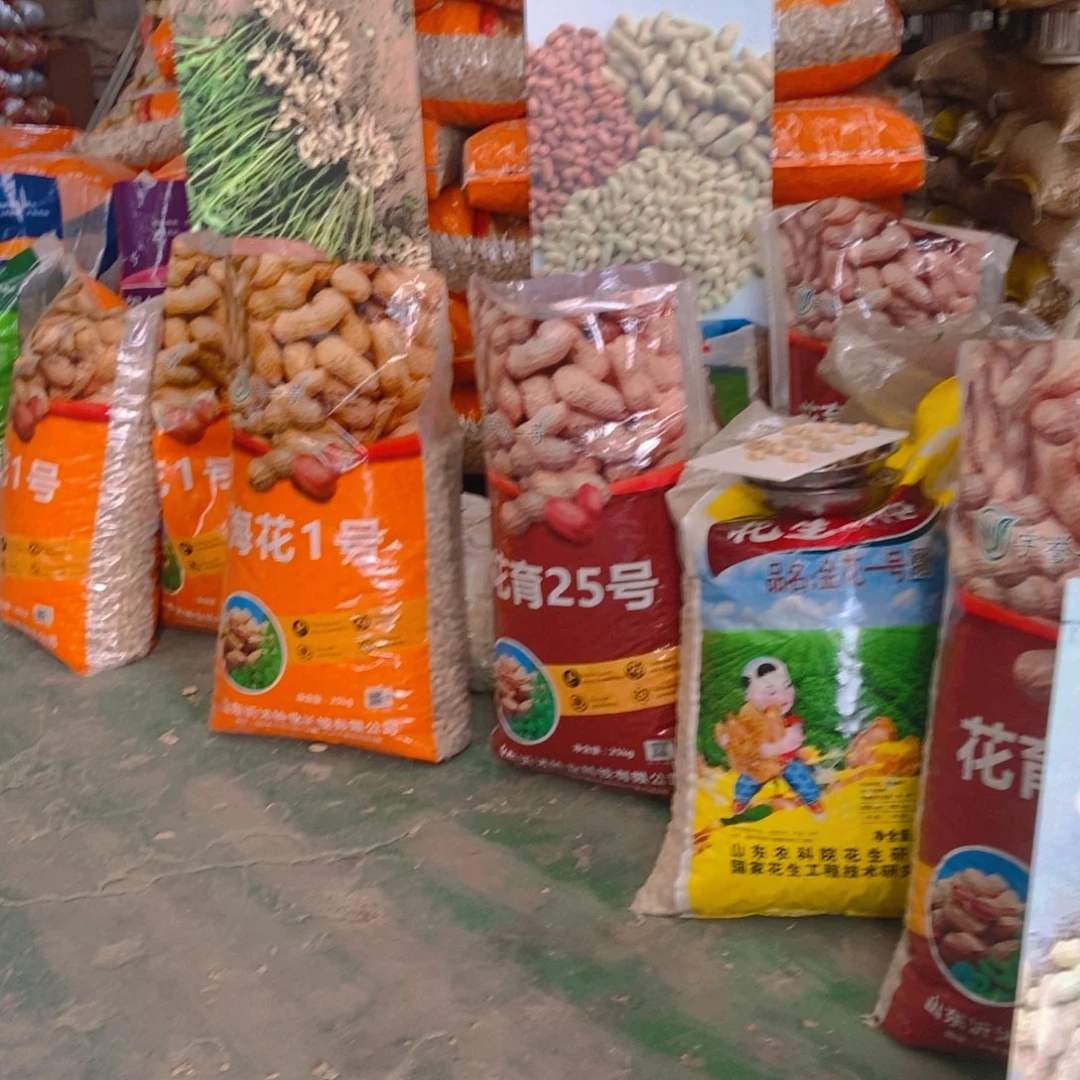 海花一号100斤包邮