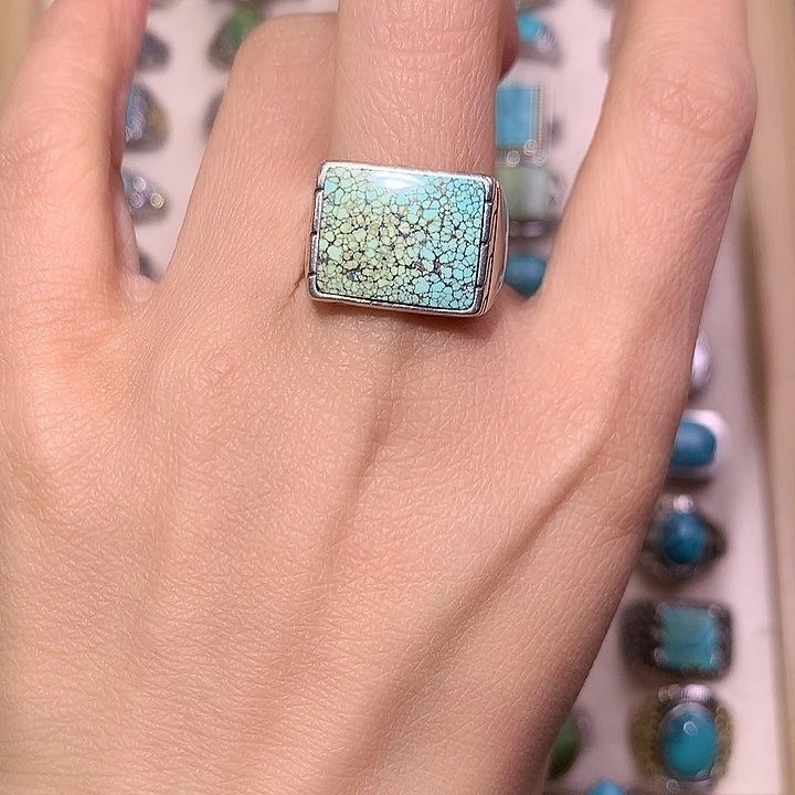 伍***火绿松石银S925镶嵌颈饰