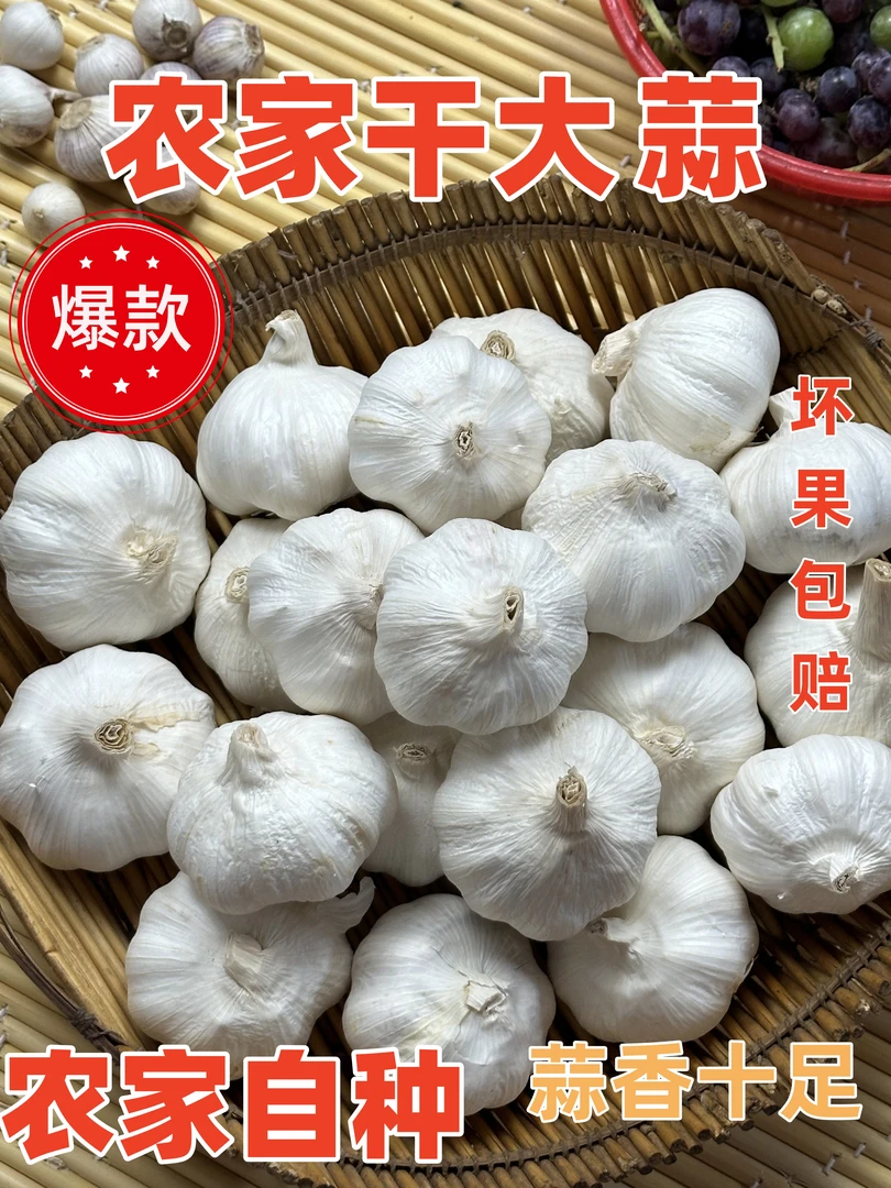 【2025年新干蒜】河南新蒜干蒜大白蒜3斤5斤装大蒜头干蒜