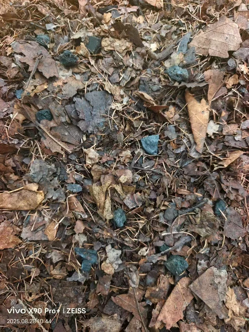 精品君子兰花卉自用精制腐植花土