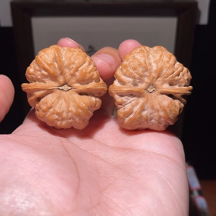 君***ㅤ核桃手串/手链蛤蟆