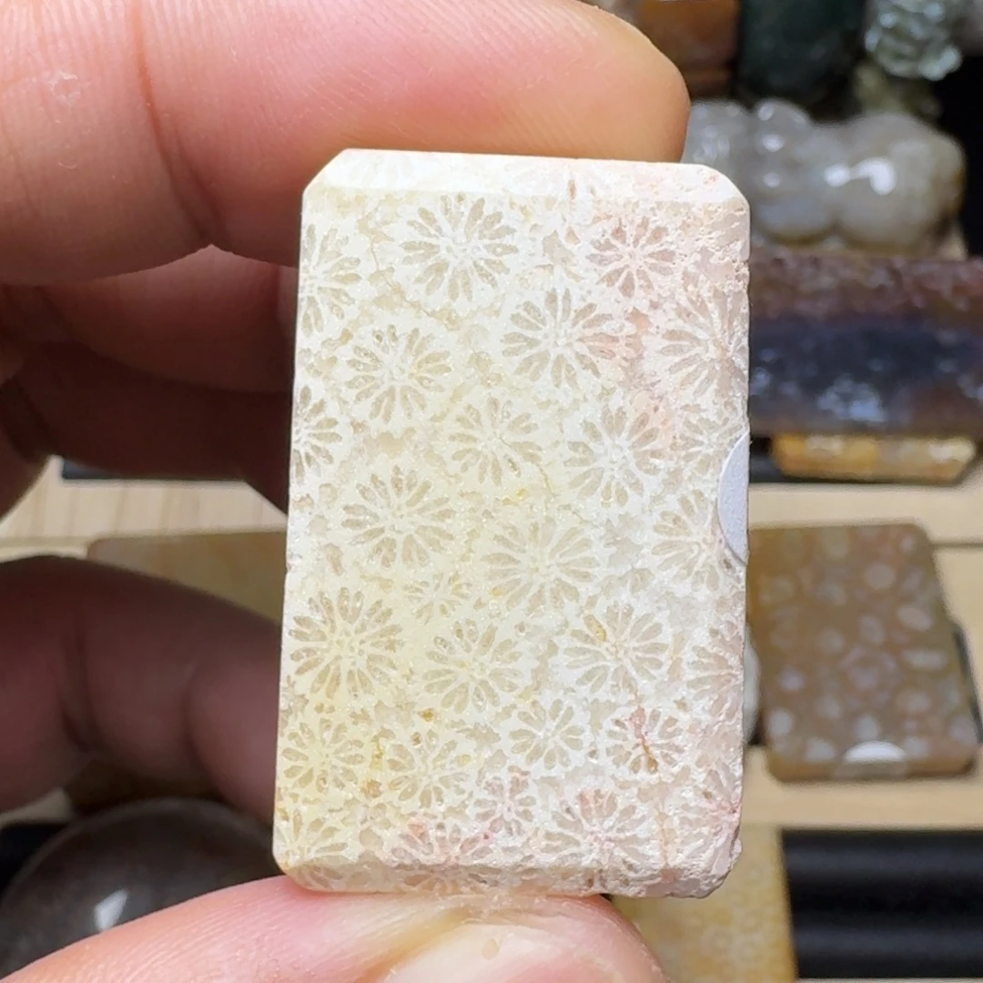 硅化玉未镶嵌纯天然色有机玉石保真色