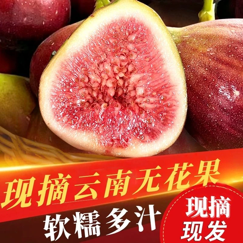 【买3斤送2斤】果园直发云南红皮无花果果子净重4.5斤~4.8斤顺丰