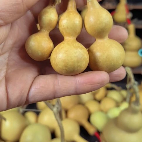 剑****焜文玩小葫芦定向链接