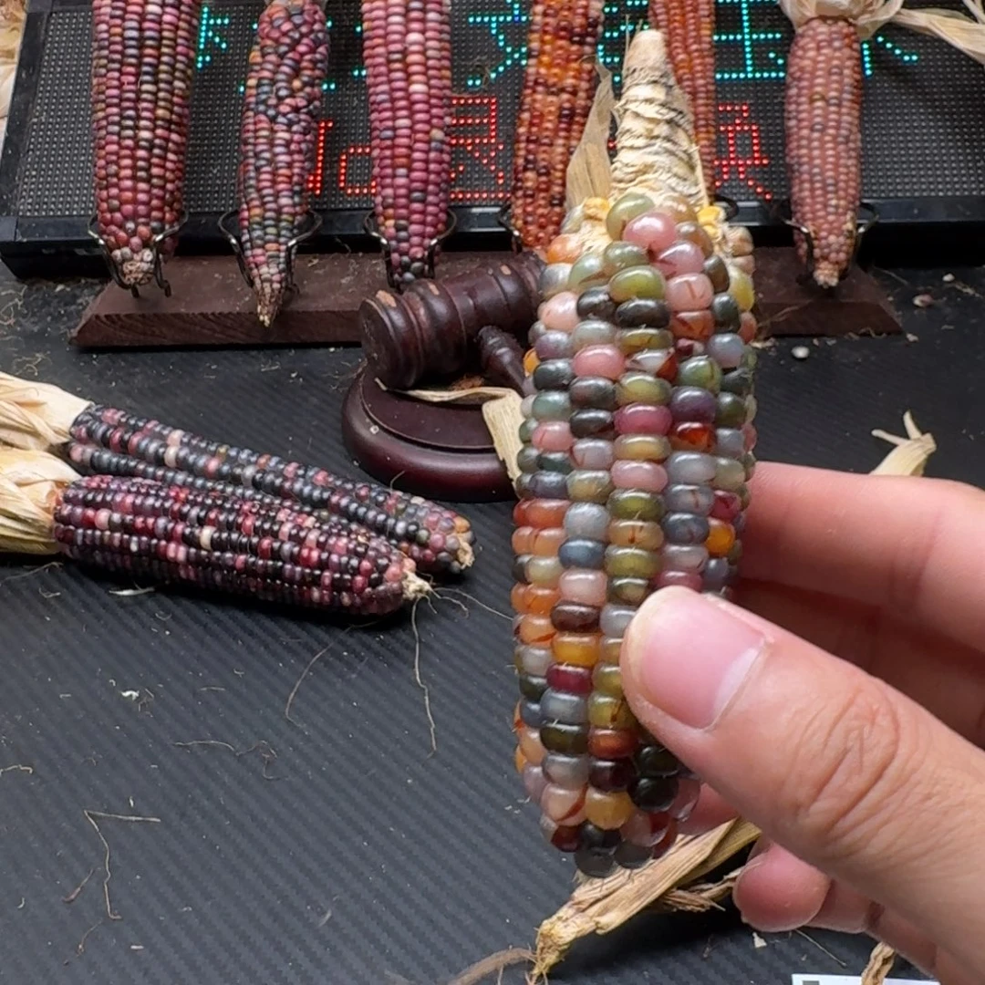 荼***白吊坠柏香籽/百香籽